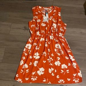 New 41 Hawthorn dress